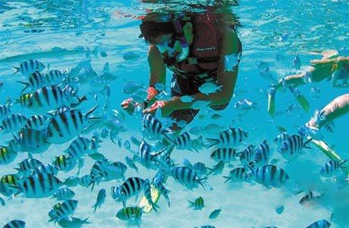 昭通市举行2024 年重点水利项目暨润昭引水应急供水项目开工仪式 苏永忠宣布项目开工 杨承新主持 唐源等出席